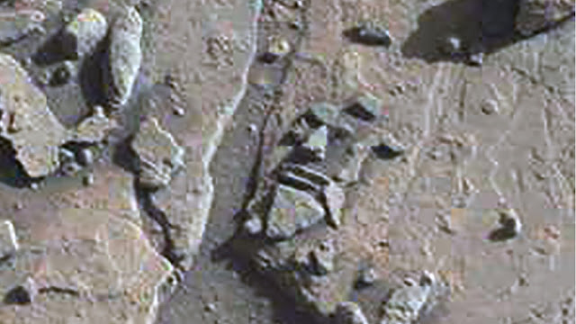На Марсе нашли рептилоида и сбитый дрон