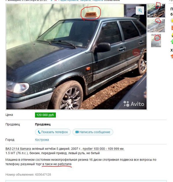 6882034.jpg