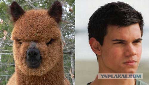 Бывают в жизни совпадения