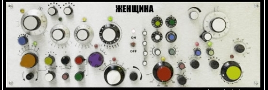 Как настроить wife?