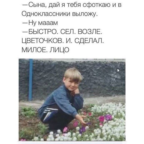 Смешные комментарии 17.07.2016