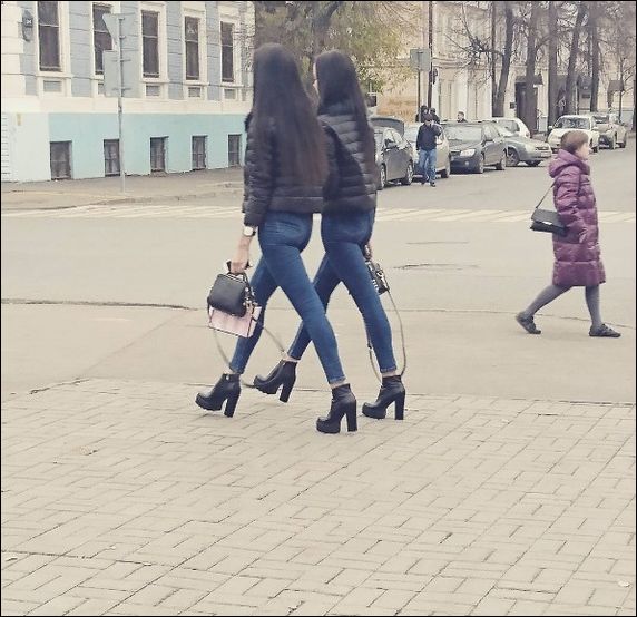 Порция картинок из сети