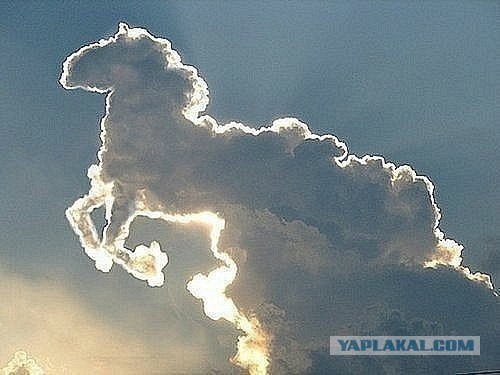 Тест на музыкальное старперство