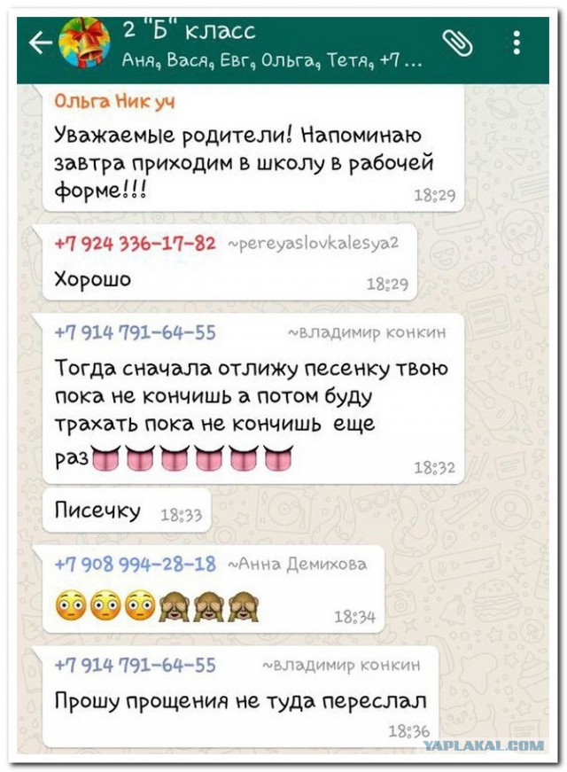 Картинки из ваших интернетов