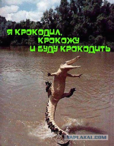 Женщины такие женщины