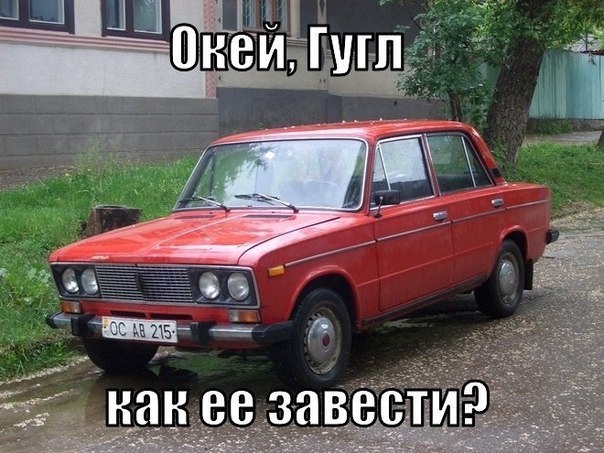 Подборка безудержного веселья