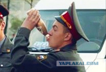 Кирдык дикому отдыху в Крыму. Спасибо товарищам из Минэкологии Крыма!
