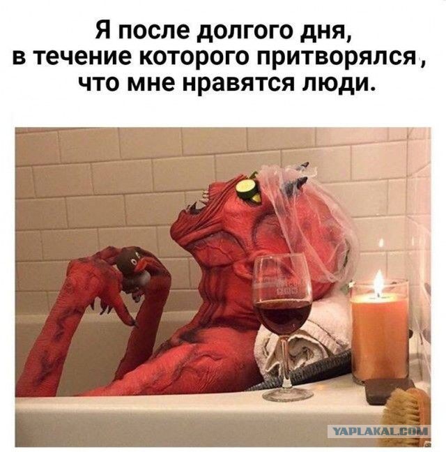 Подборка интересных и веселых картинок