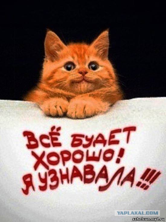 Снегопад в Мурманской области потушил все пожары.