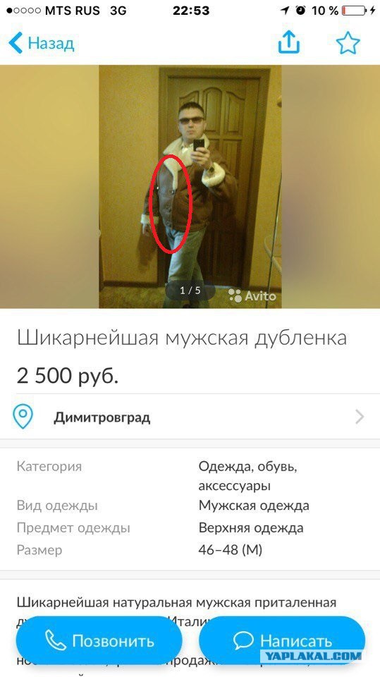 Трешак и вакханалия из соцсетей