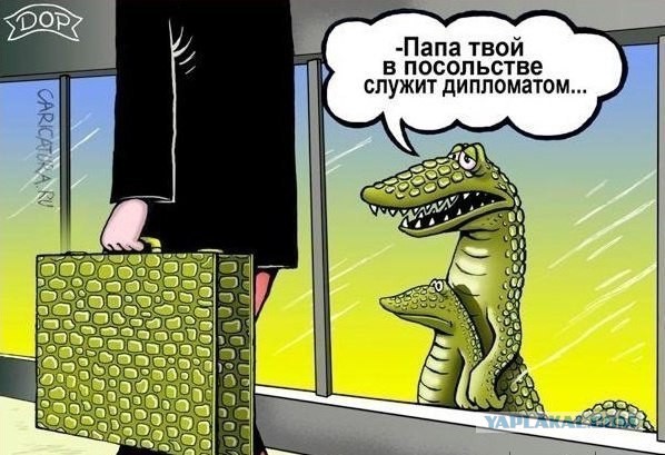 О ковбойских сапогах. Какую американцы носят обувь