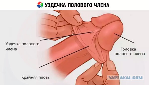 Серьезные травмы, которые можно получить во время секса
