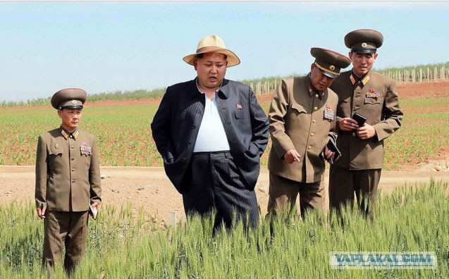 5 извращений Ким Чен Ына, которые раскрыла 26-летняя перебежчица из КНДР