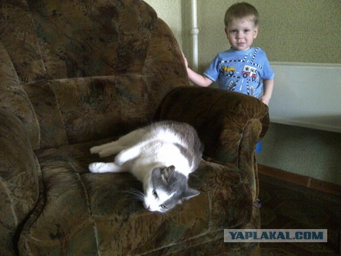 Котовторник 24.04.2012