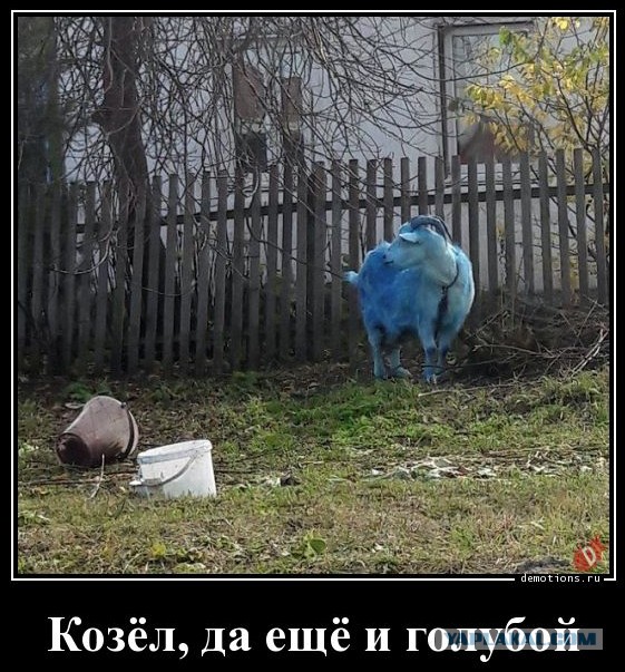 Сменивший пол россиянин выйдет на пенсию раньше
