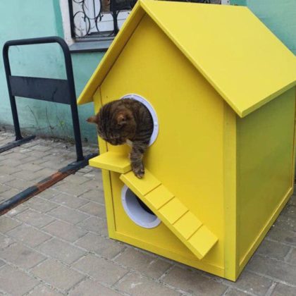Медведев приказал открыть подвалы домов для бездомных животных