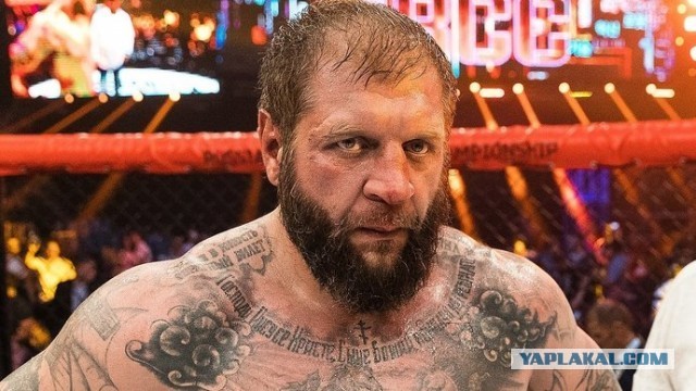 Рамзан Кадыров вызвал на бой Александра Емельяненко
