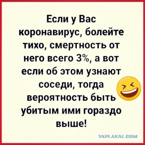 Школьный курс биологии, или что такое бактерия и вирус?