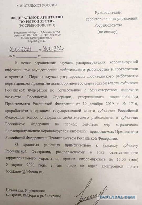 Россиян начали штрафовать на кладбищах 