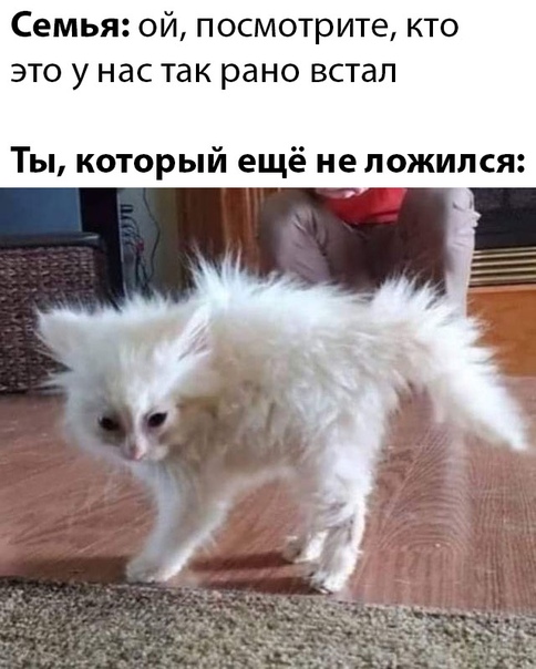 Немного картинок для настроения 11.05.20