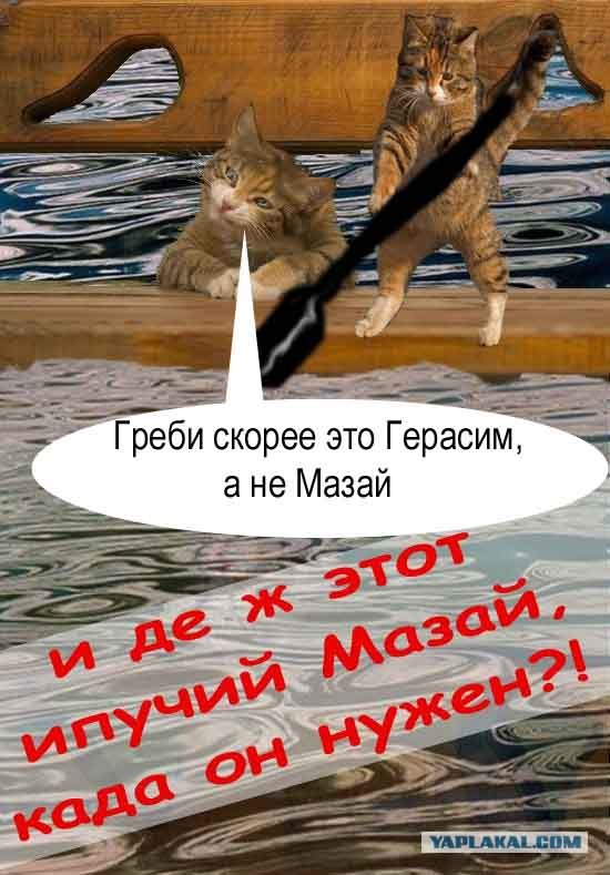 Фотожаба "Кот-коммерсант"