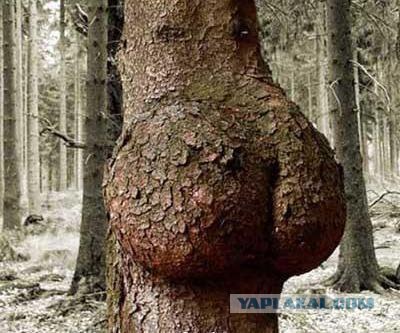 Шокирующее ПОРНО! 21+ фото