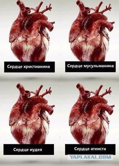 Теряя свою веру