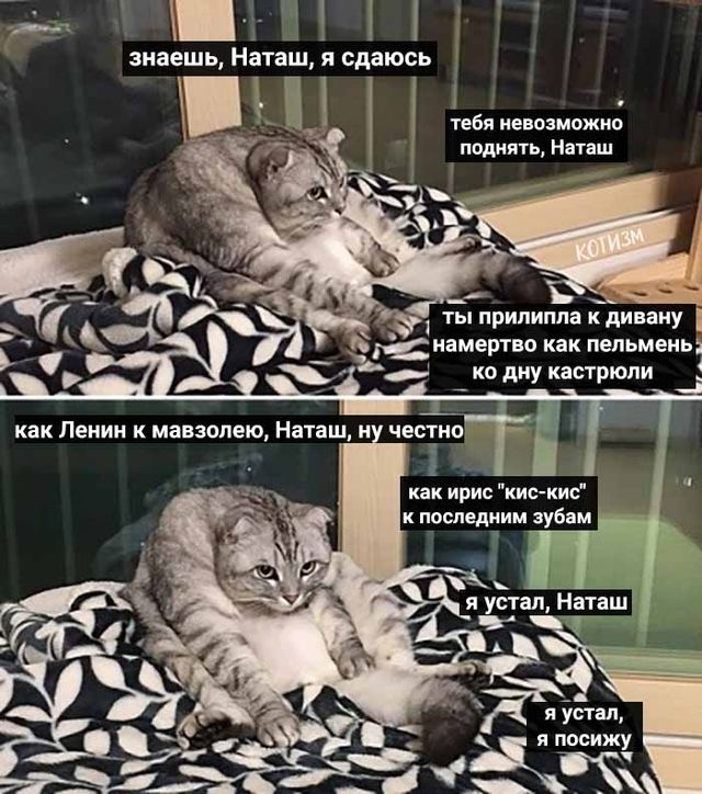 Наташа, вставай!