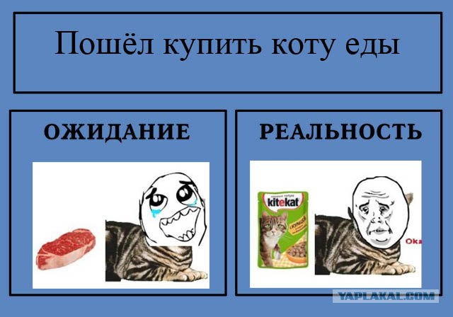 Фотожаба: Ожидание / Реальность