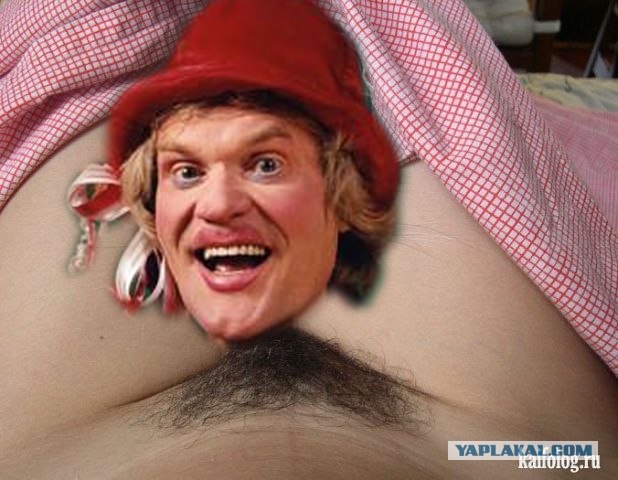 Эпичный кот