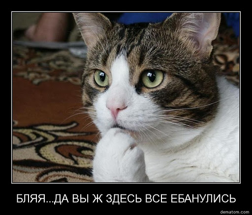 Пуки после оргазма