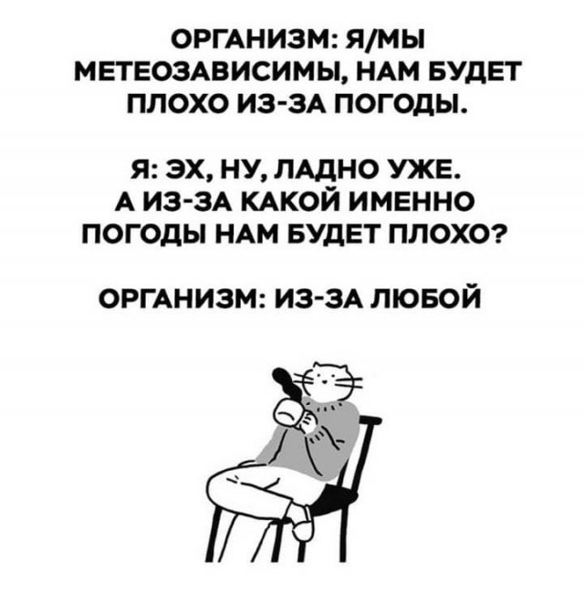 Баянисто-небаянистый юмор 15.06.21