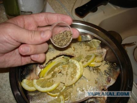 КАРП (Он же карпуша но - рыба)