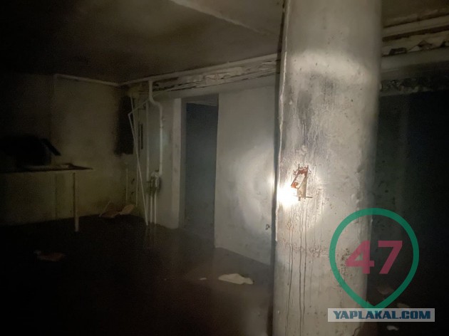 Под Петербургом нашли частную подземную тюрьму с крематорием