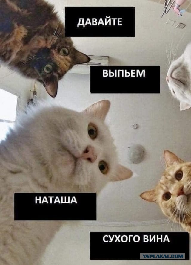 Танцуй так, как будто на тебя никто не смотрит