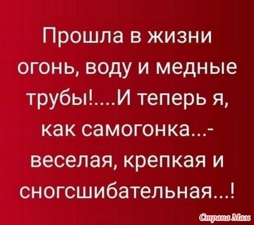 Алкопост 13.08.21