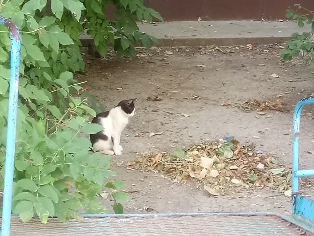 Немножко чернушки для вторника