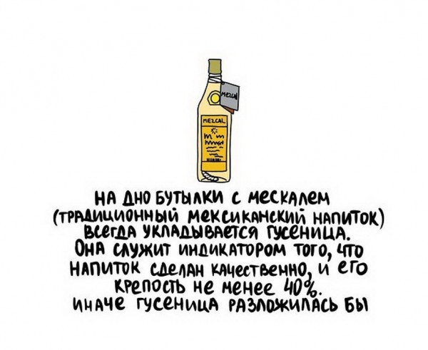 Всяческие картинки 17.11.2021