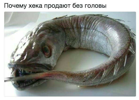 Подеградируем, побаяним...