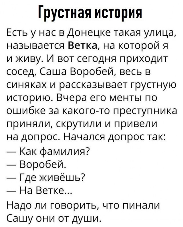 Так себе картинки 25.12.21