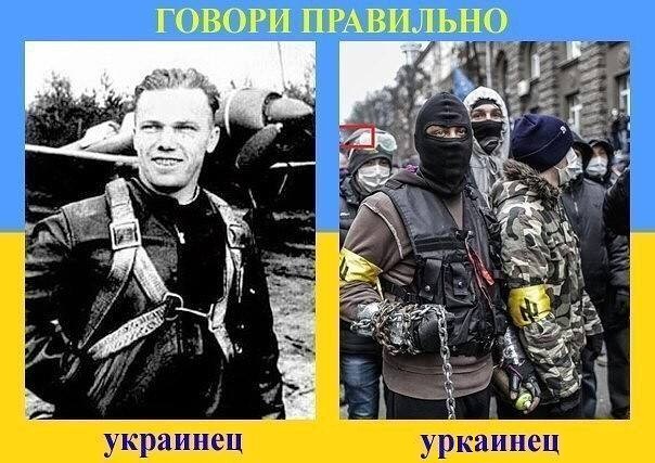 Правнуки Бендеровцев