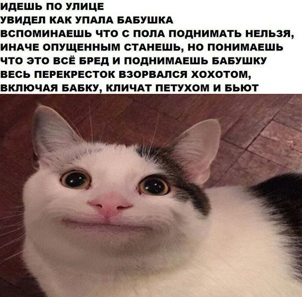 Так себе картинки 12.04.22