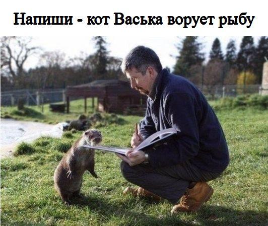 Так себе картинки 17.04.22