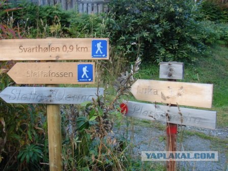 Деревня в которой я живу