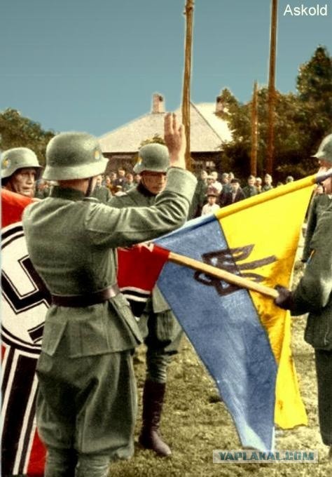 Разрыв шаблона...