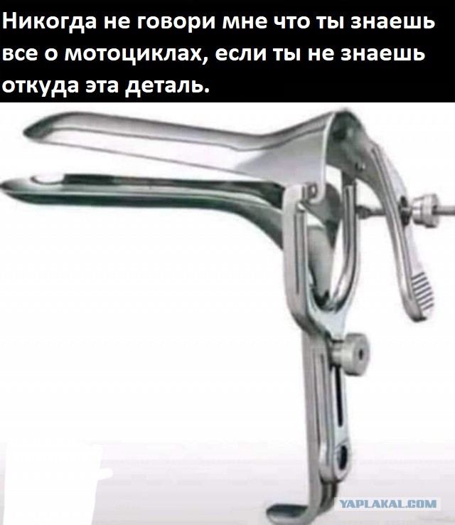 На злобу дня