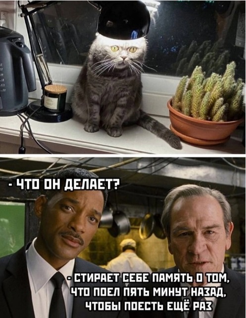 Безсистемная подборка, мож кого и улыбнёт