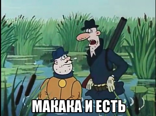 Какой нервный индивид попался