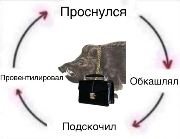 Народная меДИЧина 3013