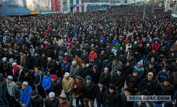 Мигранты в Швеции